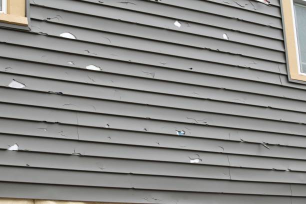 Custom Trim and Detailing for Siding in Minier, IL